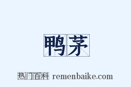 鸭茅是什么意思的图片